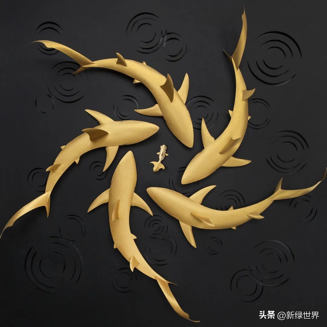 纸艺作品绘画,千变万化的纸艺术作品