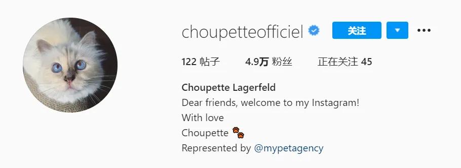 世界上最有钱的猫，坐拥21亿的财富