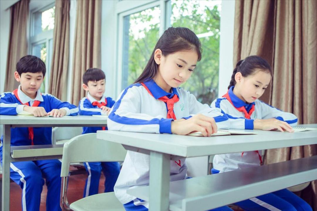 21年上海小升初摇号政策,23年上海小升初摇号比例