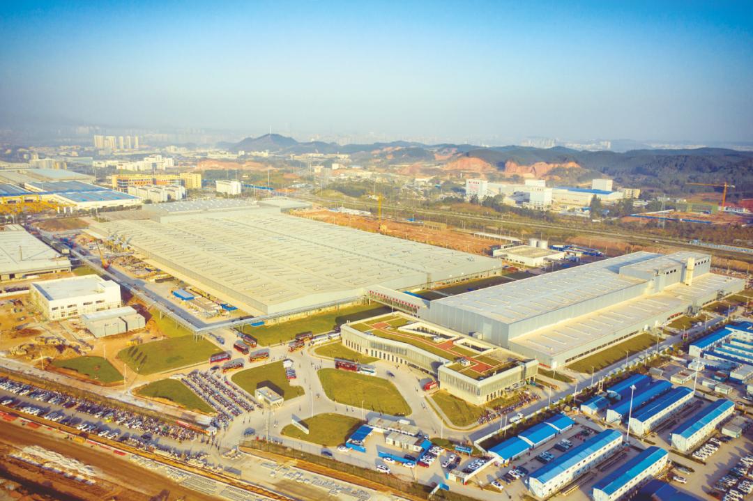 广西真能实现水果自由吗,广西南宁实现水果自由