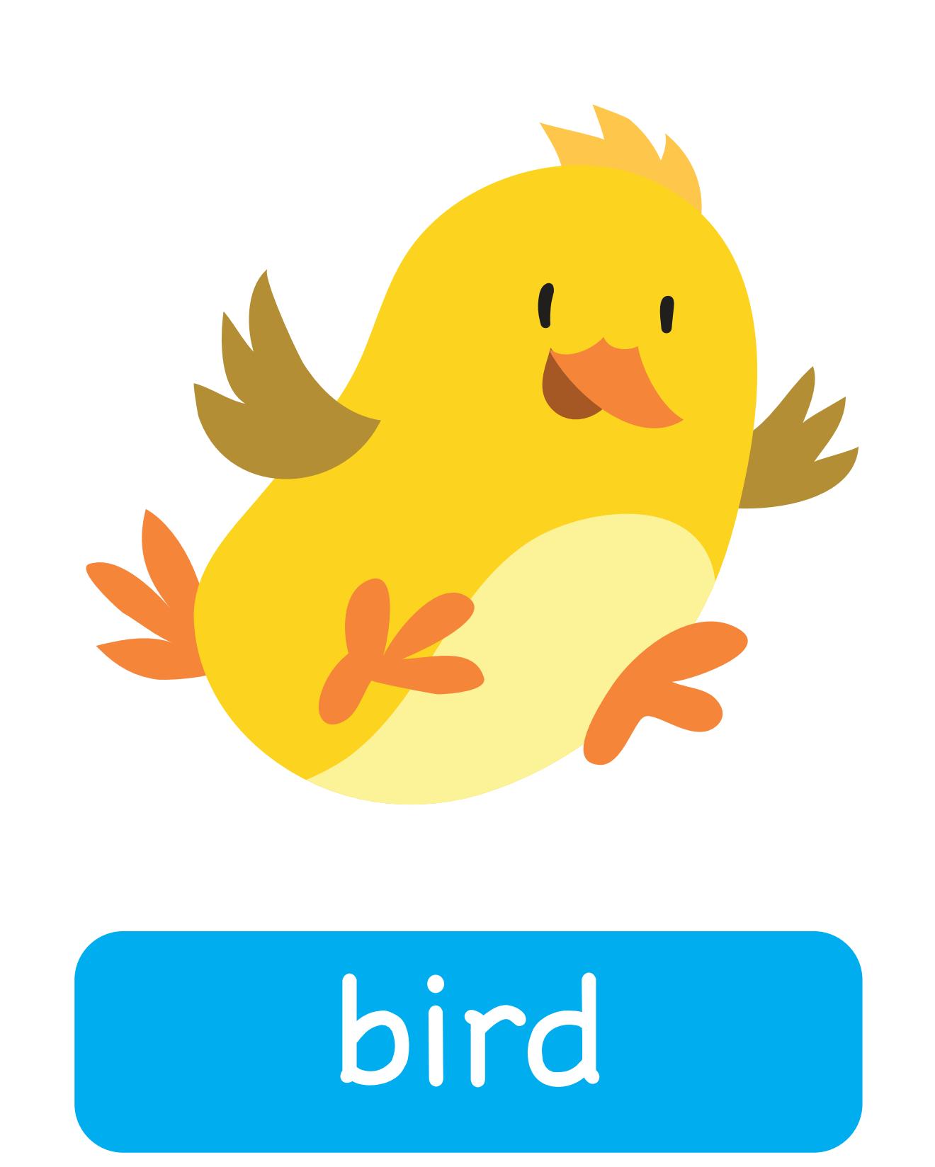 图说英语单词：高清动物类卡片，一图一单词