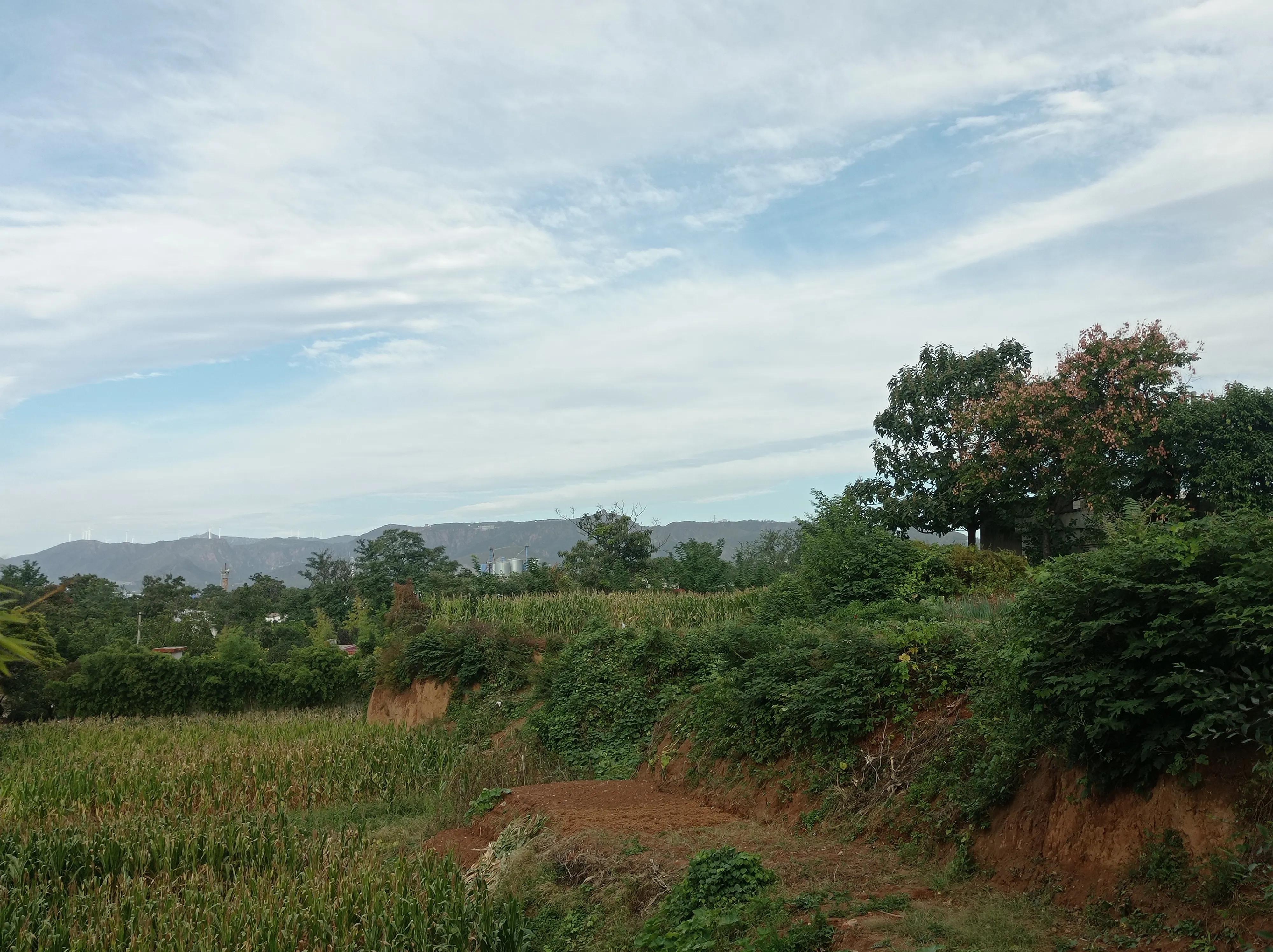 怎样才算是孝顺,什么是真正孝顺父母的行为