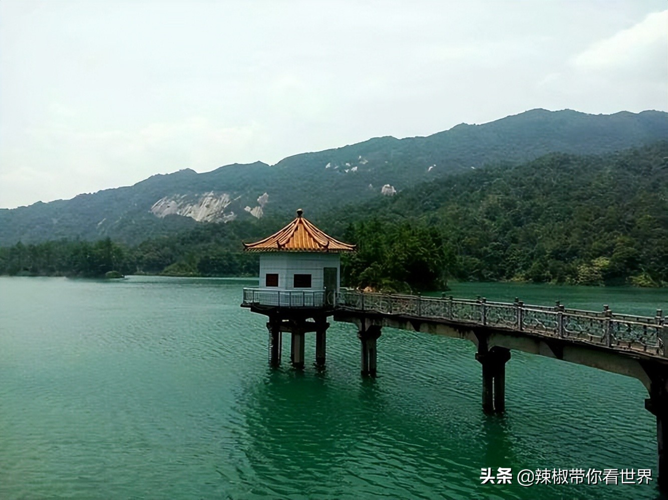 海岸线：邂逅*江阳**——感受这座慢节奏小城文化底蕴感悟人文之美