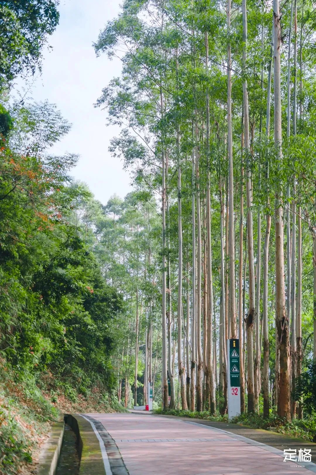 深圳周末带孩子免费游玩好去处,周末去哪玩推荐深圳