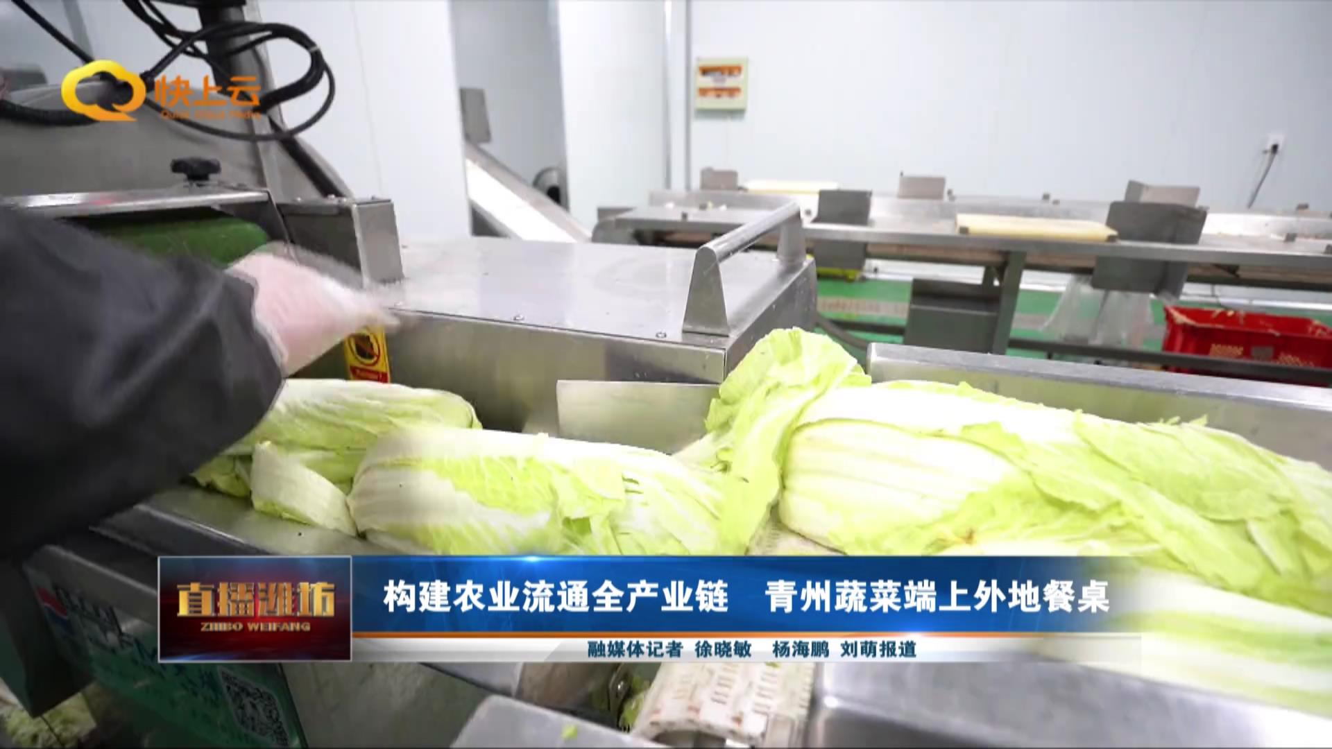 打造农业全产业链要做到什么,打造现代全产业链订单农业