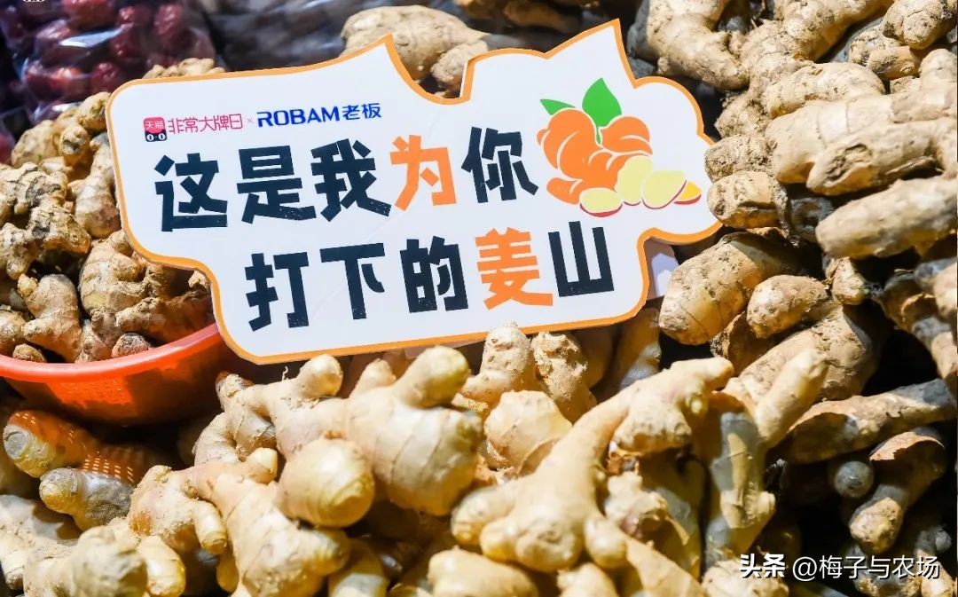 中国最具感染力的文案,中国之最文案