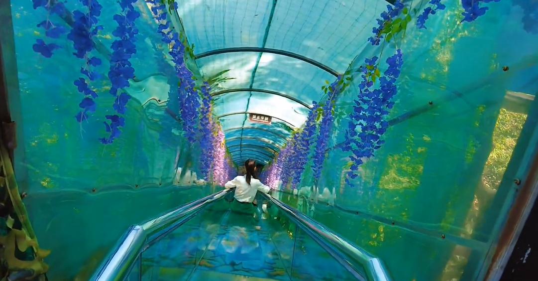 郑州周边免费自驾露营地,郑州附近自驾免费爬山好去处