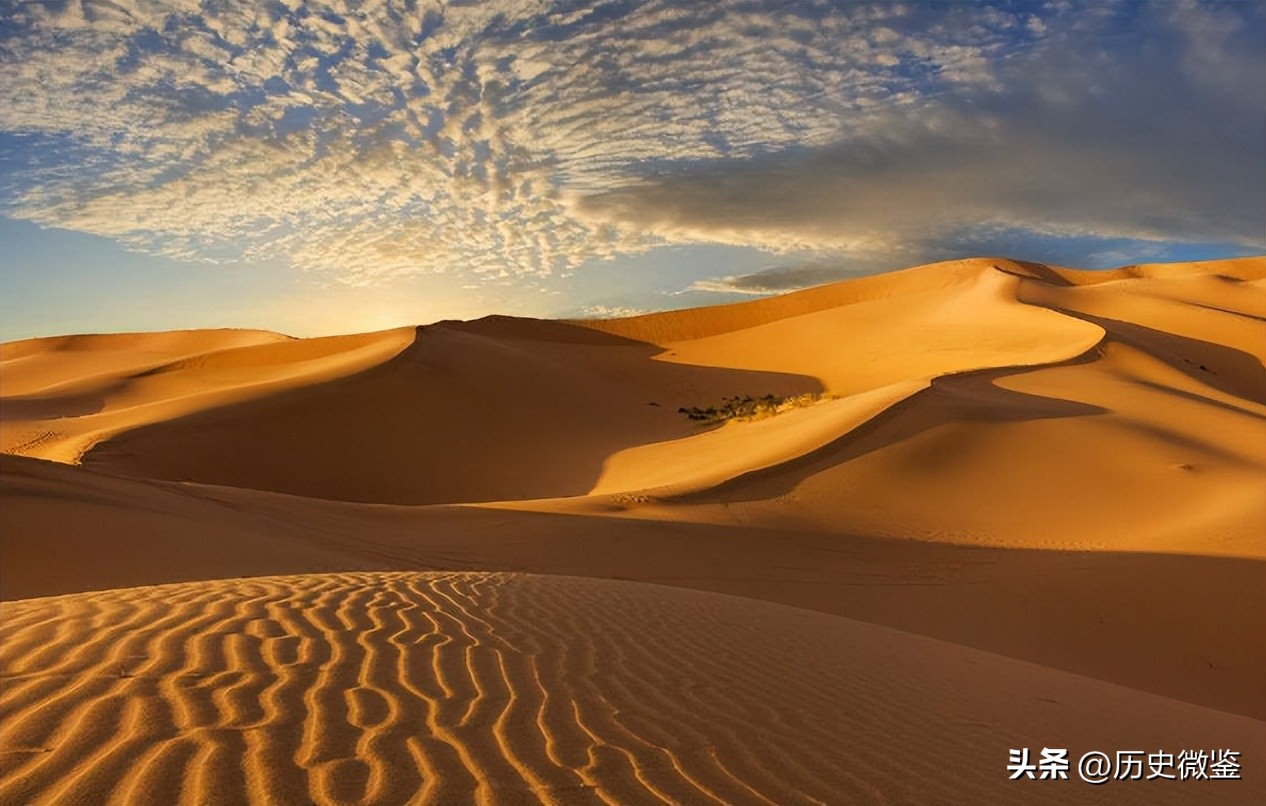 19岁女孩被迫嫁到荒漠,19岁女孩被迫嫁到荒漠下集