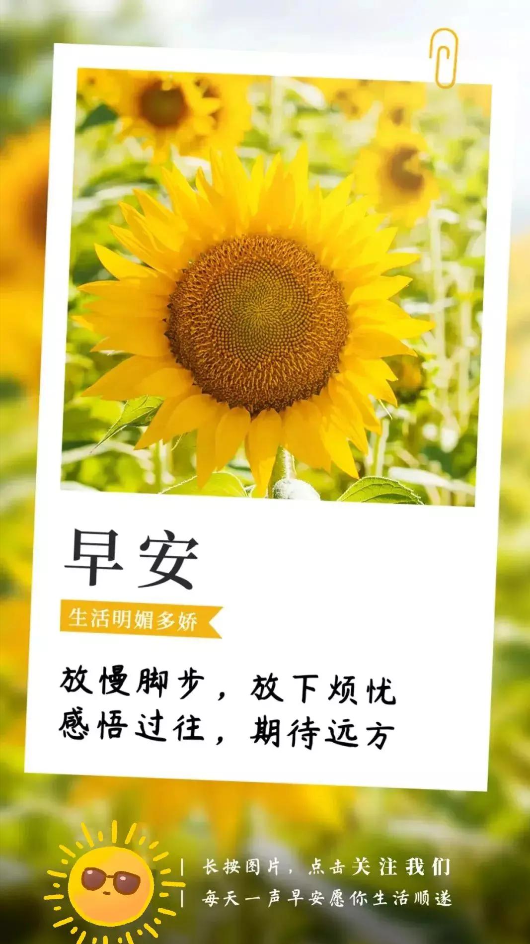 入秋天冷高情商早安语录,早安语录简短正能量天气冷