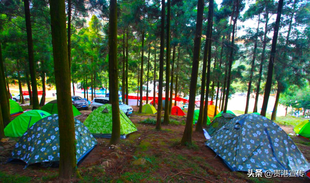 贵港旅游营地宣传口号,贵港旅游营地宣传语征集揭晓