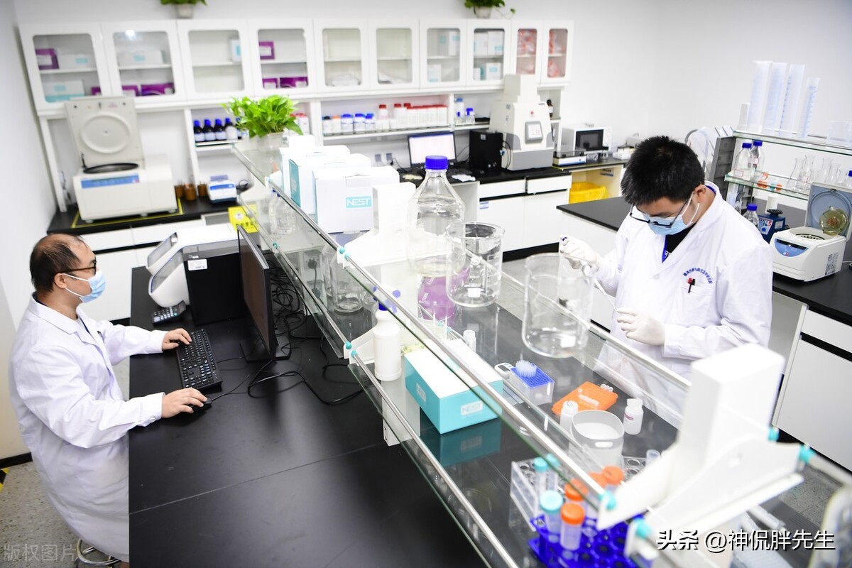 职场遇到喜欢抢你功劳的领导,职场中遇到恶心的领导抢功劳