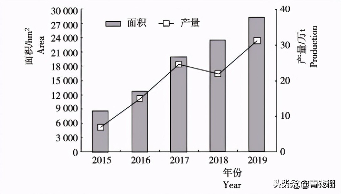 广西特色产业精准扶贫发展现状,乡村振兴百香果产业发展
