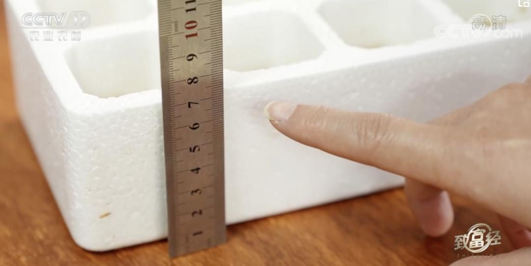 5万只鸡蛋一年能赚多少钱,一年卖1000万个鸡蛋