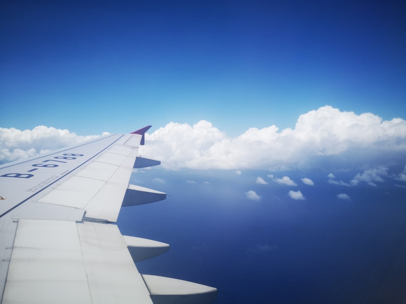 暑期档2019年,2019年暑期档