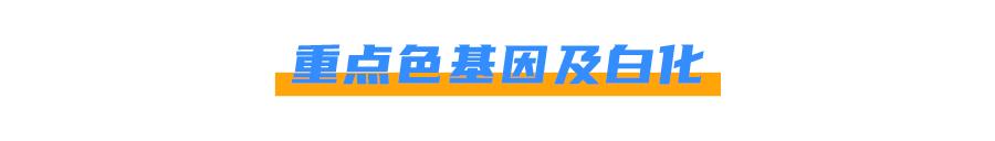 猫身上掉下来有白色颗粒是什么,猫身上白色的是什么