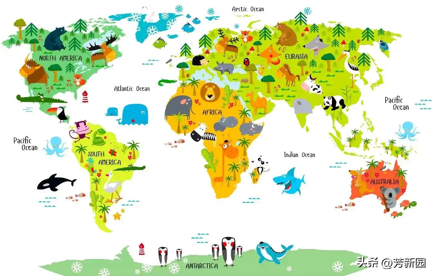 全世界都不如你电视剧,全世界有多少个国家