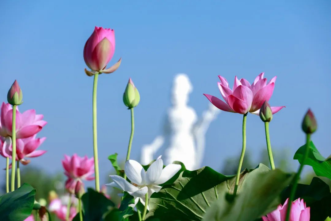 70-2002.8镜头尺寸,70-2002.8长焦镜头