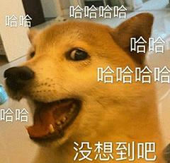 吃瓜动态表情包下载,躺床上吃瓜表情包