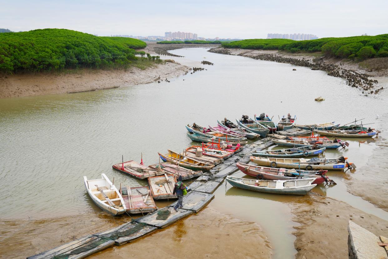 泉州宋代跨海大桥,泉州湾跨海古桥