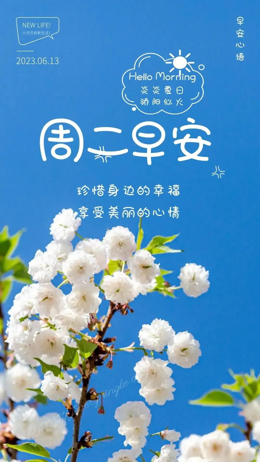 乙木命2023年癸卯年运势怎样,农历2023年癸卯年正月结婚吉日