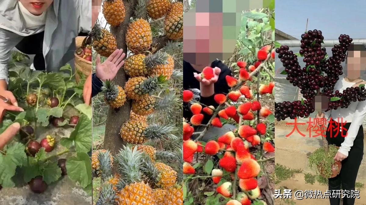 电商直播对消费者购买行为的影响,618电商直播大战回放