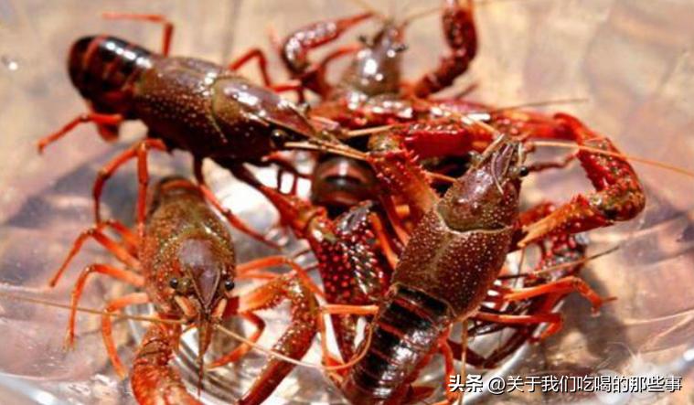 小龙虾头部是虾黄还是虾屎,小龙虾头部的是屎还是膏