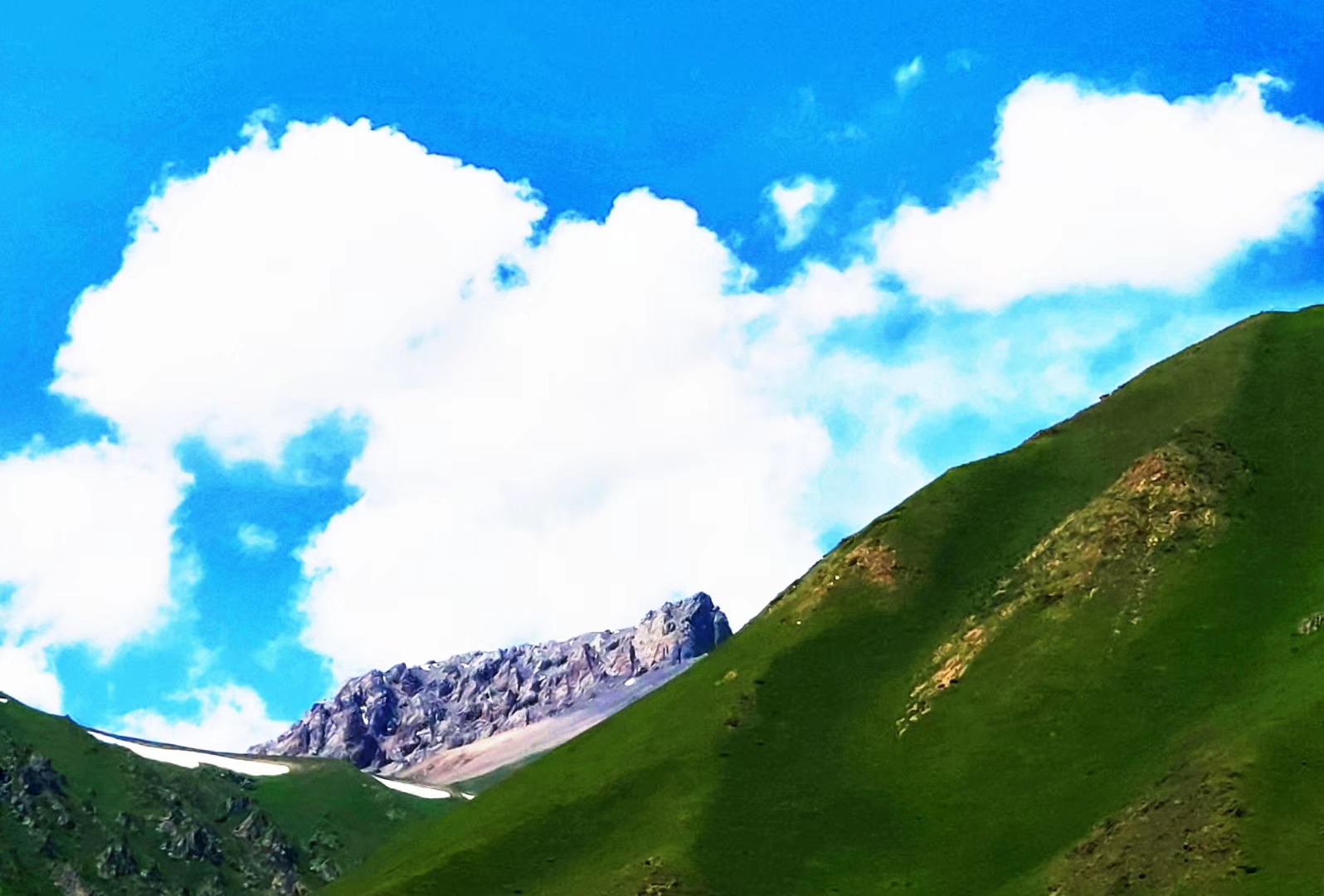 卡塔尔世界杯东道主有什么优势,卡塔尔世界杯预选赛东道主