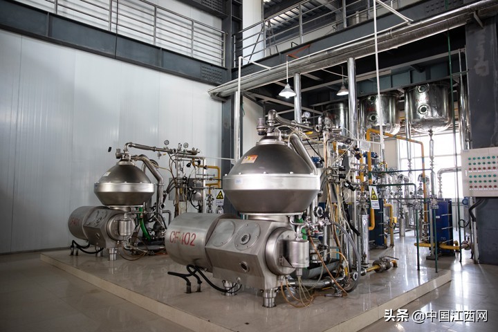 齐云山茶油和高正茶油哪个好,十年磨一剑高山云雾生态茶