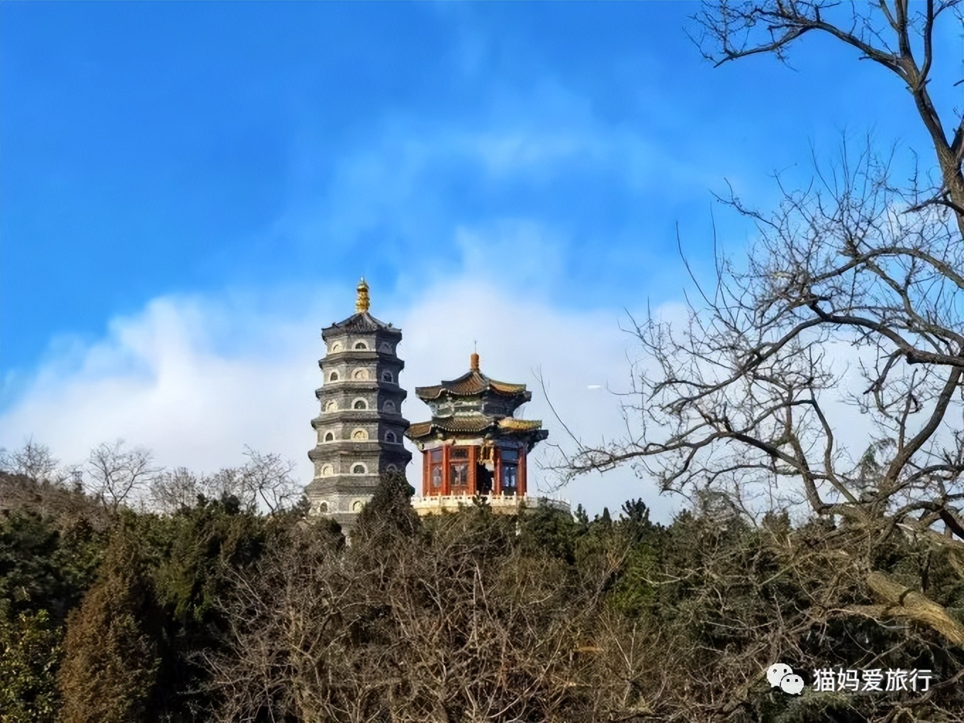 5天“趣”玩青岛，我的私藏遛娃路线