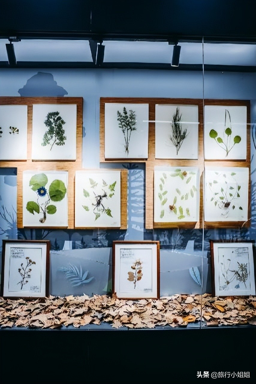 夏日海边微醺氛围感,滨城风光秀丽浪漫气息爆表