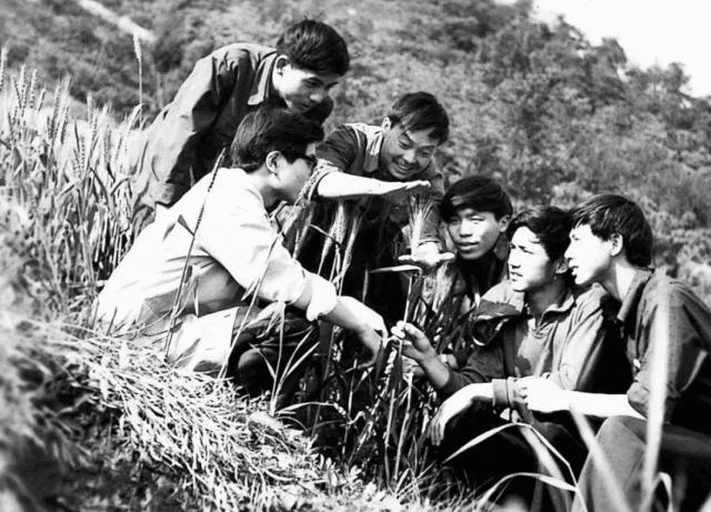 成都蓉城成都大学,为什么有两个成都大学