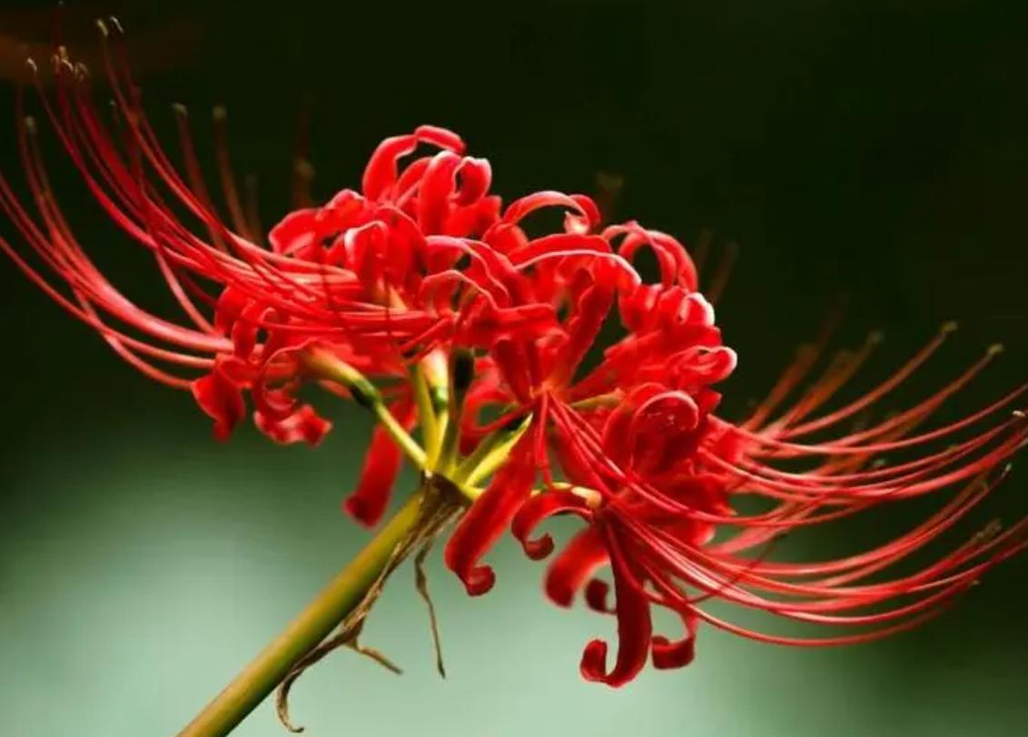 地府有什么传说,中国关于地府传说