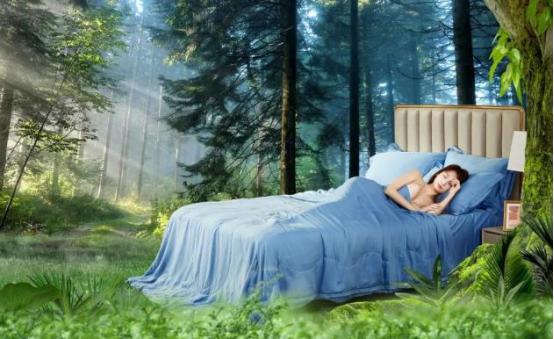 市场上最好的蚕丝被是什么牌子,十大蚕丝被品牌排行榜