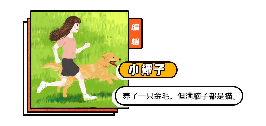 70万网友在线围观我家猫猫“搞黄色”：越看越上头，越看越变态