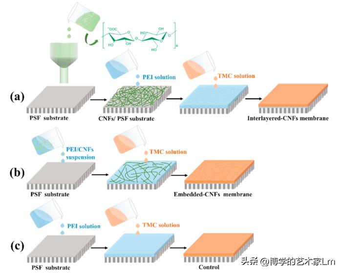 绾ょ淮绱犺啘鍔涘鎬ц兘璁ㄨ,绾ょ淮绱犵撼绫宠啘缁艰堪