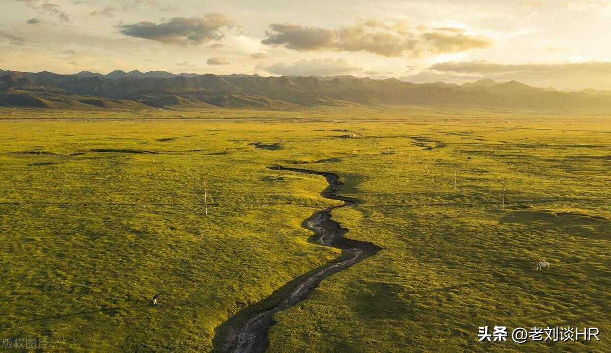 自用省钱分享赚钱项目,自购省钱分享赚钱模式
