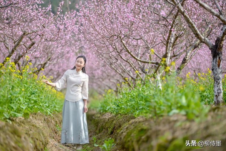 脸大拍照不好看怎么办,脸大不上镜的人怎么拍视频