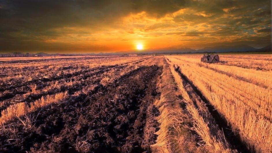 梁晓声知青小说,梁晓声知青全文