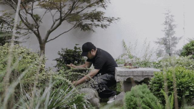 上海夫妻花两百万改造老宅,夫妻改造上海老房