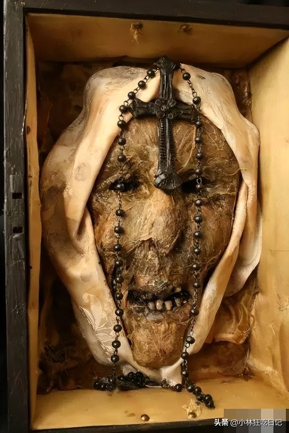 英国神秘生物博物馆,英国神秘生物