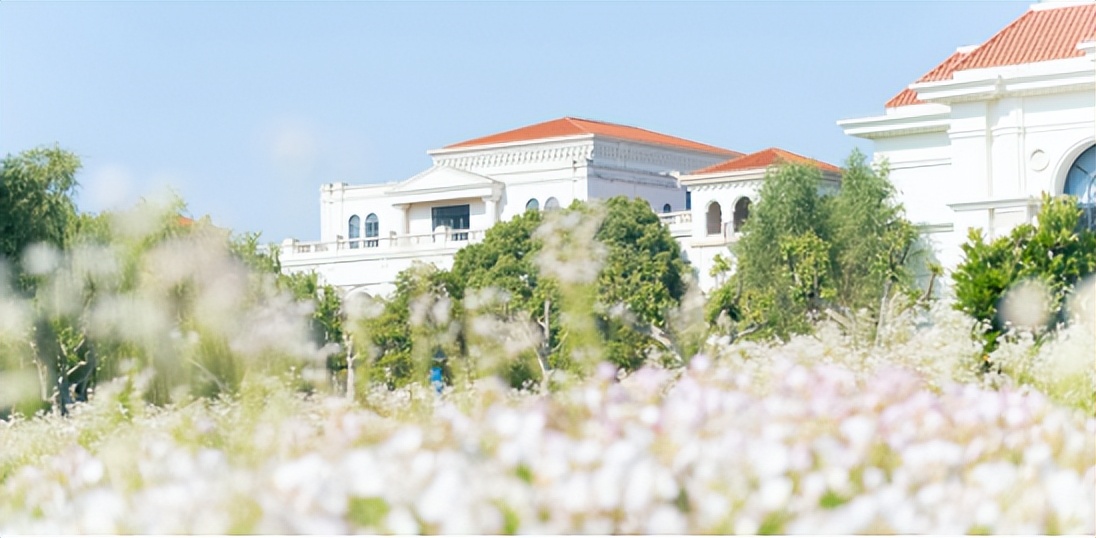 新闻专业好不好,新闻专业该不该考研