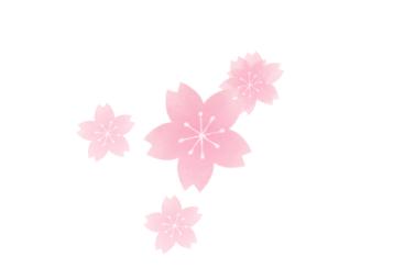 宿迁哪里有看樱花的地方,宿迁樱花景区