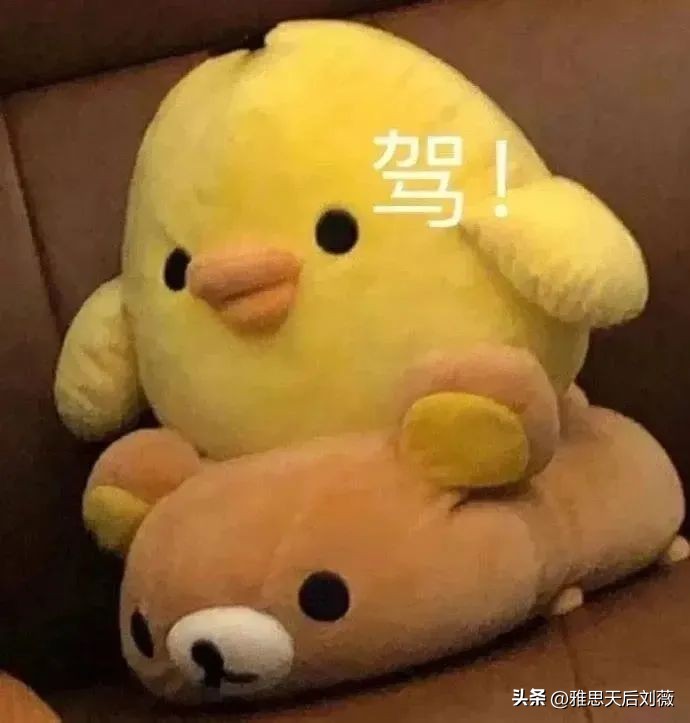 雅思考试通知,雅思官宣