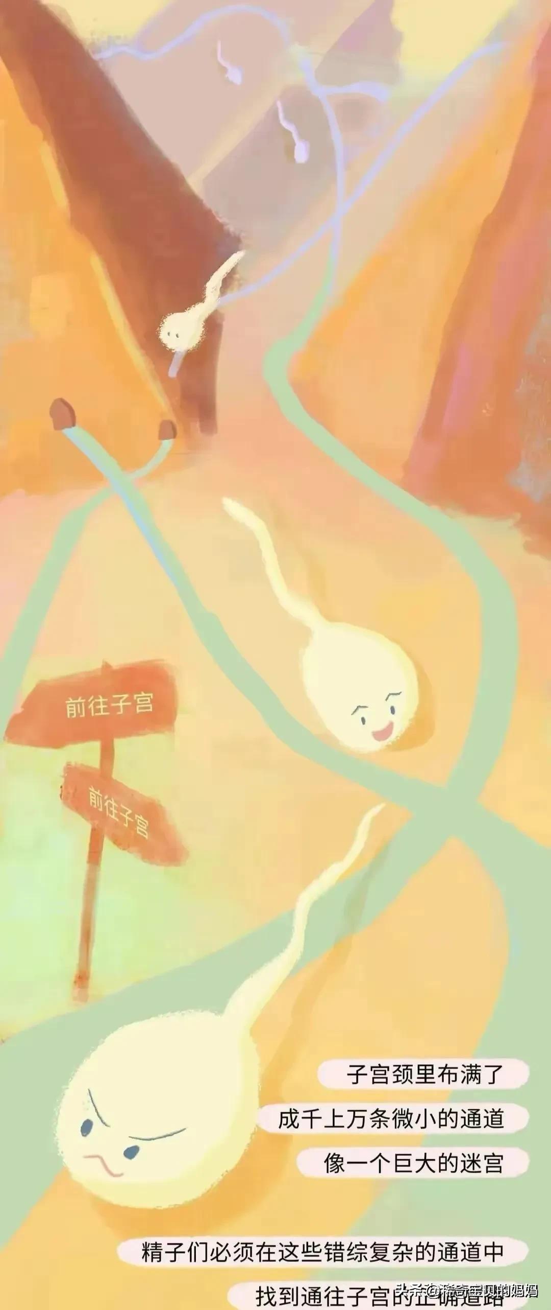 绮惧瓙杩涘叆浜轰綋12灏忔椂鍙樺寲,绮惧瓙杩涘叆浜轰綋24灏忔椂鍙樺寲