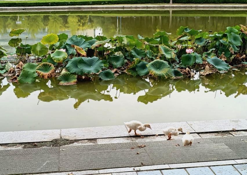 山中医er的“小确幸”