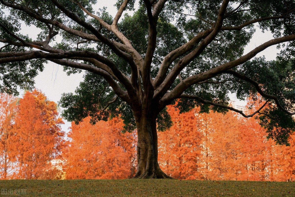厦门旅游攻略必逛景点推荐,厦门攻略必逛景点一日游