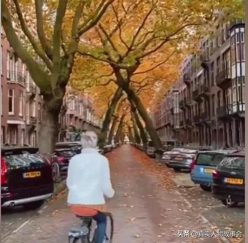 北京大妞远嫁澳洲老外,80后北京大妞儿