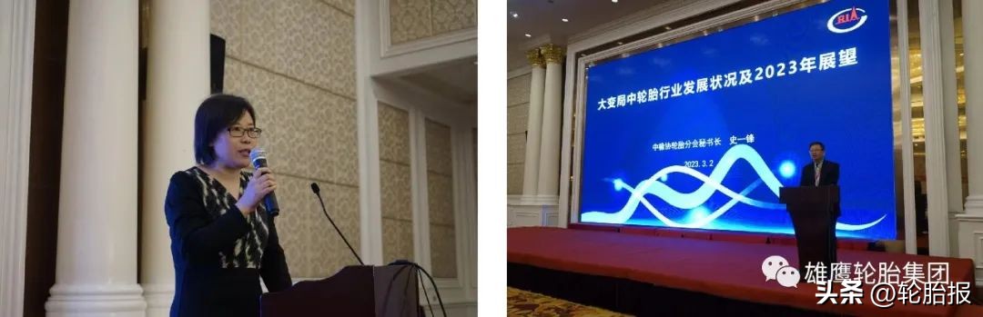 3家轮胎企业入围民营百强榜,轮胎企业2019年销售排行榜表