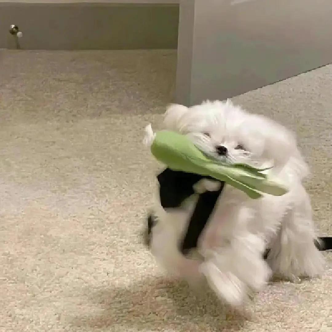 有哪些让人直呼有病的谐音梗,100个谐音梗文案