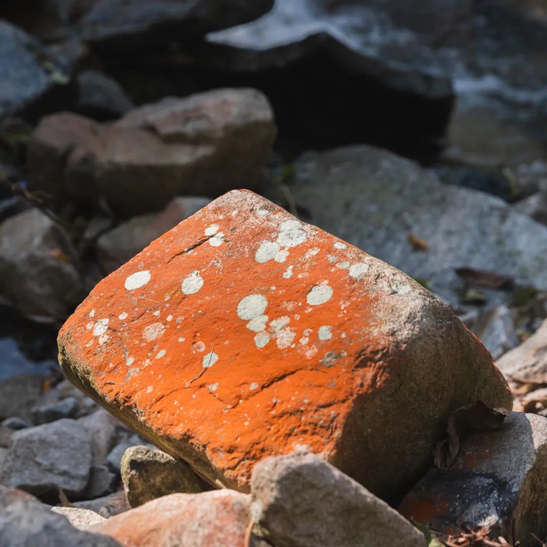 太白山是陕西最高点吗,秦岭最高峰太白山